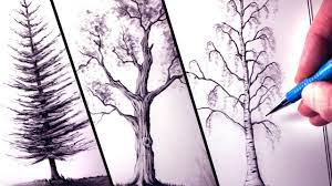 How To Draw Trees Youtube