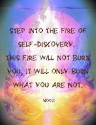 Alain De Botton A Kinder Gentler Philosophy Of Success Step Into The Fire Of Self Discovery This Fire Will Not Burn You It Will Only Burn Wha Higher Consciousness Quotes Energy Healing Reiki Energy Consciousness