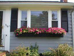 Plus, track changes and reference past drafts with version history. 8 Foot Custom Length Lattice Window Box Long Planter Window Box Flowers Long Planter Boxes
