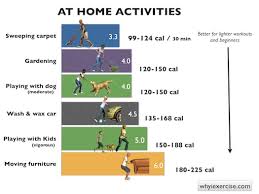 metabolic equivalent which physical activities burn more