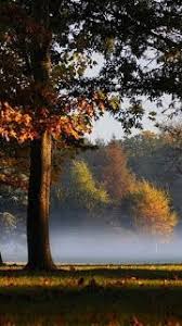 تحميل خلفيات موبايل ايفون mobile phone wallpapers full hd beautiful images nature nature images beautiful nature