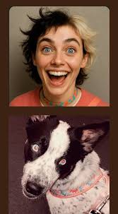 Accuracy of Pet Personality Representation in Photos