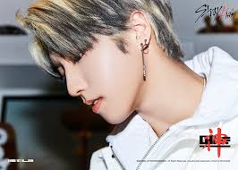 Han jisung was born on september 14, 2000 , he is 19 years old, but he will soon turn 20, (21 in korean age). Han Stray Kids Profile And Facts Updated