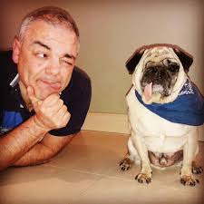 Does an airplane's stall speed increase with weight?