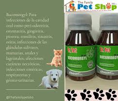 My family pet store is houston's premier pet adoption and pet supply store. The Family Pet Shop Home Facebook