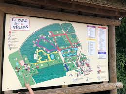 Parc Des Felins Lumigny Nesles Ormeaux 2021 All You Need To Know Before You Go With Photos Lumigny Nesles Ormeaux France Tripadvisor