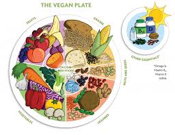 the vegan food pyramid full guide to meet your all nutrients