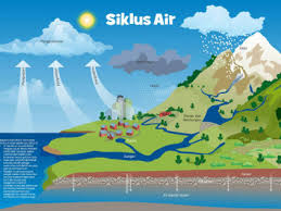 9.1 dampak pencemaran air bagi kehidupan. Jenis Jenis Siklus Air Gambar Dan Penjelasan Lengkap