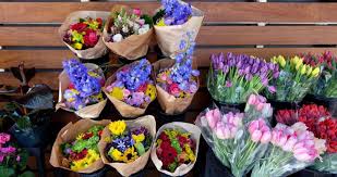 Check spelling or type a new query. Bloom Project Donates Grocery Store Flowers To Hospice Patients