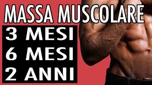 Cosa mangiare prima e dopo l. Massa Muscolare Quanto Tempo Ci Vuole Per I Risultati Youtube