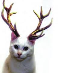 RCMP identifies plane crash victims