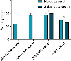 Comparison of gene integration frequency in CBS 712ΔUΔK with and...