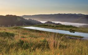 Maybe you would like to learn more about one of these? Landscape Architect Round Up 1stdibs Introspective