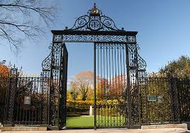 Welcome to the abq biopark botanic garden. A Magical Garden Nobody Knows In Central Park Ephemeral New York