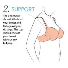 bra size calculator sizes chart and bra sizing guide