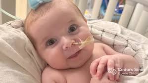 Vita Rose 🌹 ✨ Her inspiring story of resilience boosted by the steadfast  love of her remarkable parents is making NEWS 📰 Our world needs hope,  light, and VITA ✨ Please consider donating to this ...