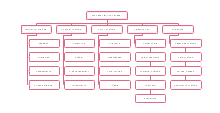 Top 5 Restaurant Organizational Chart Examples