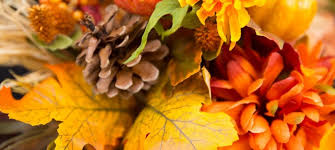 I fiori per compleanno sono sempre un regalo sorprendente, dolce e gradito per chiunque lo riceva. Fiori D Autunno I Fiori Piu Belli Per Adornare La Propria Casa