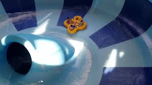 We did not find results for: Toilet Bowl Kalahari Youtube