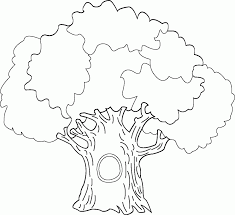| trees, tree on our website, we offer you a wide selection of coloring pages, pictures, photographs and handicrafts. Big Tree Coloring Page Jpg Coloring Home