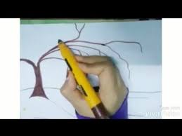 رسم الطبيعة إزهار الكرز سهلة للمبتدئين رسم مناظر طبيعية n ature s cherry blossom drawing youtube cherry blossom drawing drawings cherry blossom