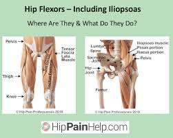 People should perform all of the above exercises and stretches within their body's range of motion and stop immediately if they feel any pain. Hip Flexor Pain And Iliopsoas Pain Hip And Or Groin Pain