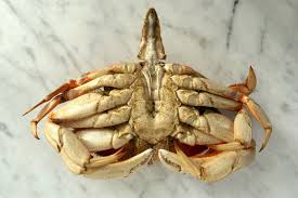 Il granchio pulisce gli altri arti con queste gambe. Come Pulire I Granchi Freschi Inizia Con Granchi Freschi E Vivaci
