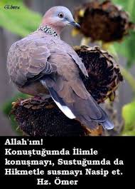 Hedef 2023 Adli Kullanicinin Guzel Sozler Panosundaki Pin Guzel Soz Dualar Ozlu Sozler