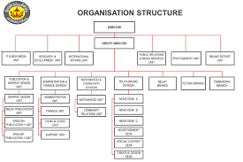 Information Department Organisation Structure