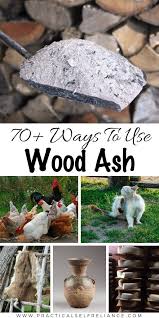 This video shows what happens when you use ash from a fire in the vegetable garden and around fruit trees. 70 Uses For Wood Ash