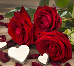 We offer an extraordinary number of hd images that will instantly freshen up your smartphone or computer. Full Hd Rose Wallpaper For Mobile