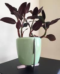 Jewel Orchid Loving Its New Home Contrasts Nicely With This Mint Green Groove Planter Planters Homedecor Metalplanter Modern Design Pro