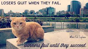Pin On Cute Cats And Motivational Quotes