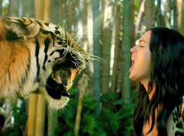It was registered onto perry's bmi on august 31, 2013. Katy Perry Blasted By Peta For Using Animals In Roar Music Video E Online Uk
