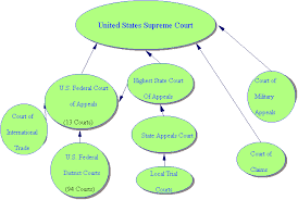 The United States Federal Court System