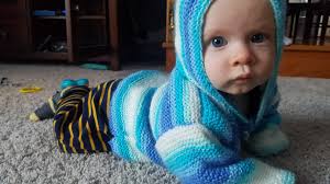 Crochet balloon dog and cat patterns needed