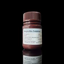 Image result for Ampicillin
