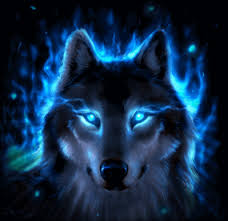 Https Encrypted Tbn0 Gstatic Com Images Q Tbn And9gcrqhcdcsx8raeeh 3llnvchobwpwkibdgrfgw Usqp Cau