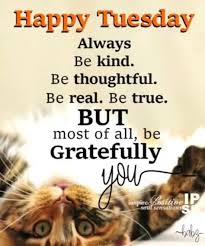A meaningful life is not being rich, being popular, being highly educated, or being perfect. 290 Tuesday Quotes Ideas Tuesday Quotes Good Morning Tuesday Tuesday Greetings