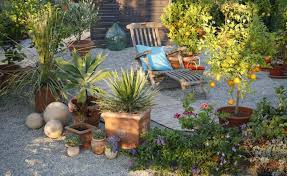 Ein Mediterraner Sitzplatz Im Kies Eingerahmt Von Duftenden Kubelpflanzen Flora Toskana Mediterraner Garten Garten Mediterrane Pflanzen