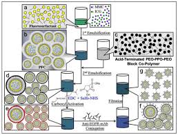 Nanomaterials Free Full Text Anti Egfr Indocyanine Green