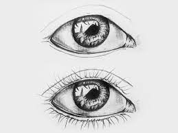 Heute gehören rund 400 werke zum bestand, hinzu kommen 80 skizzenbücher sowie briefe. Augen Zeichnen Schritt Fur Schritt Als Bleistiftzeichnung