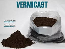 How to use and uses information sheet the special feed formula which is based upon vegan ingredients reduces the risk of pathogen transfer tothe castings and then onto edible fruit, vegetables, nuts and plants.vermicast™ is lab tested by a government certified lab to ensure quality of nutrients and tested forpathogens to ensure. Use Vermicast To Fertilize Echostar Dragon Fruit Farm Facebook