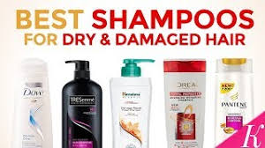 Biotin can help strengthen hair and repair dry, damaged hair strands. 10 Best Shampoos For Dry Damaged Hair In India With Price Youtube