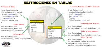 Restricciones Transact Sql Sql Server Sql