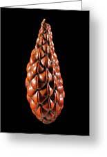 Image result for Raphia farinifera