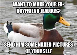 Want To Make Your Ex Boyfriend Jealous Send Him Some Naked Pictures Of Yourself Badbadmallard Quickmeme