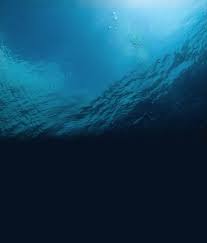 The second part, where you'll go diving in a pool, will be another $200 or so. Scuba New York Learn To Scuba Dive Scuba Classes New York Scuba Certification Nyc Scuba Certification Westchester