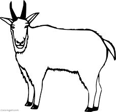 Push pack to pdf button and download pdf coloring book for free. Mountain Goat Coloring Pages Coloringall