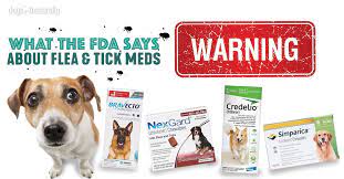 Safest Flea And Tick Prevention For Dogs